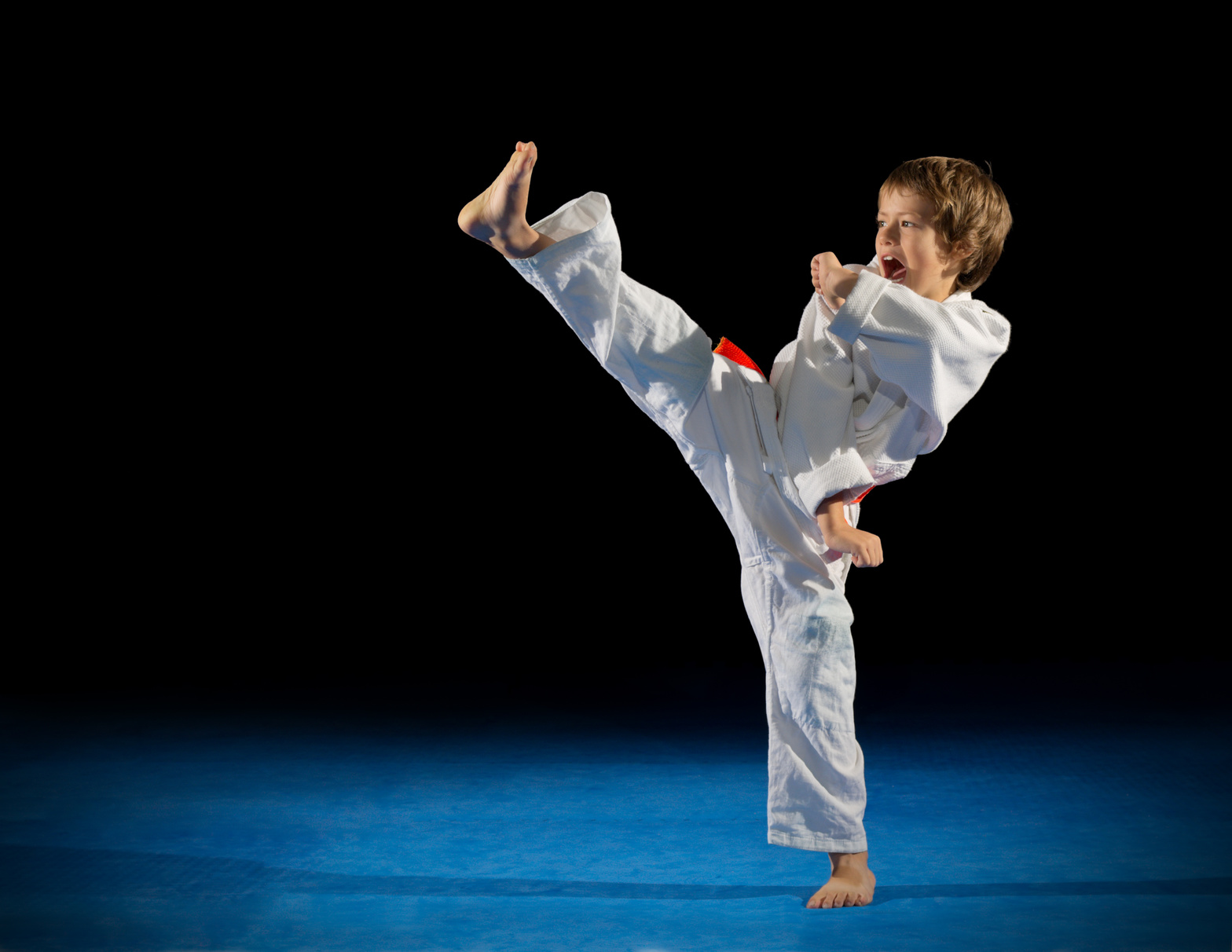 judo karate training taiso dojo raphele arles saint martin de crau moules